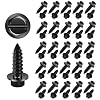 50 Pieces Black License Plate Mounting Screws, Stainless Steel License Plate Bolts with Rustproof Finish, Car License Plate Screws for License Plates Frames or Cover on Cars, Universal for Most Cars