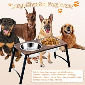 Elevated-Dog-Bowls-for-Medium-and-Large-Dogs-Wood-Raised-Dog-Bowl-Stand-with-Two-1700ML-Stainless-Steel-Dog-Food-and-Water-BowlsNon-Slip - Cucciolini Doodles Elevated-Dog-Bowls-for-Medium-and-Large-Dogs-Wood-Raised-Dog-Bowl-Stand-with-Two-1700ML-Stainless-Steel-Dog-Food-and-Water-BowlsNon-Slip