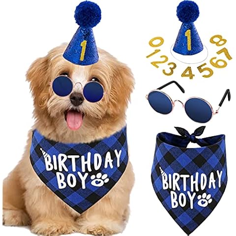 Hund Geburtstag Bandana Set, Geburtstag Hund Halstuch Cover
