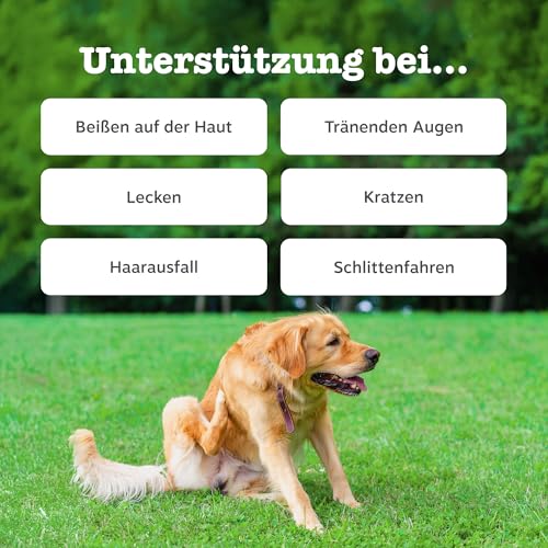 Zesty Paws Allergie & Immunität Chews | Nahrungsergänzungsmittel für Hunde | Für eine Gesunde Körperfunktion | Reich an Lachsöl Hunde & Omega 3 Öl | 90 STK