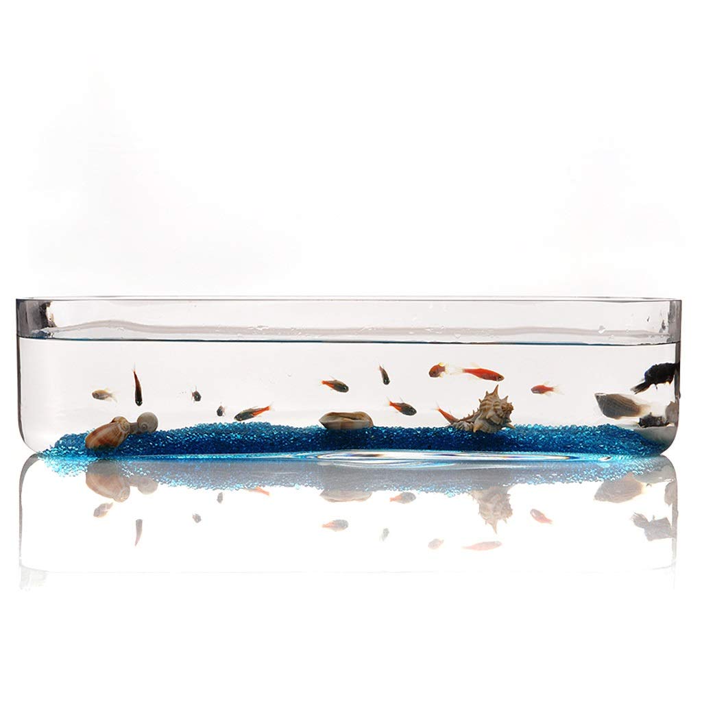 Personalidad Creativa Cristal Rectangular Fish Tank Acuario Sala de Estar Oficina Escritorio Acuario Decoración (tamaño : M)