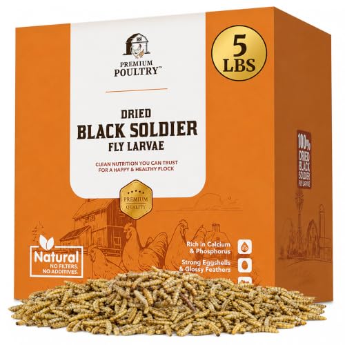 Black Soldier Fly Larvae for Chickens High Calcium Chicken Treats for Strong Eggshells & Egg Production Dried BSFL Grubs Poultry Feed for Ducks Wild Birds & Backyard Flocks 5lb