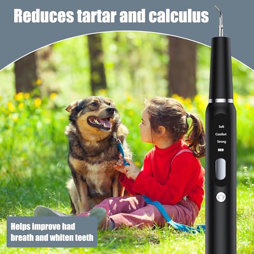 Image of Dog Plaque Tartar Remover for Teeth - Electric Pet Toothbrush with 2 Replacement Cleaning Heads, Adjustable 3 Modes Dog Toothbrush Teeth Cleaning Kit for Pet Cat (Black)