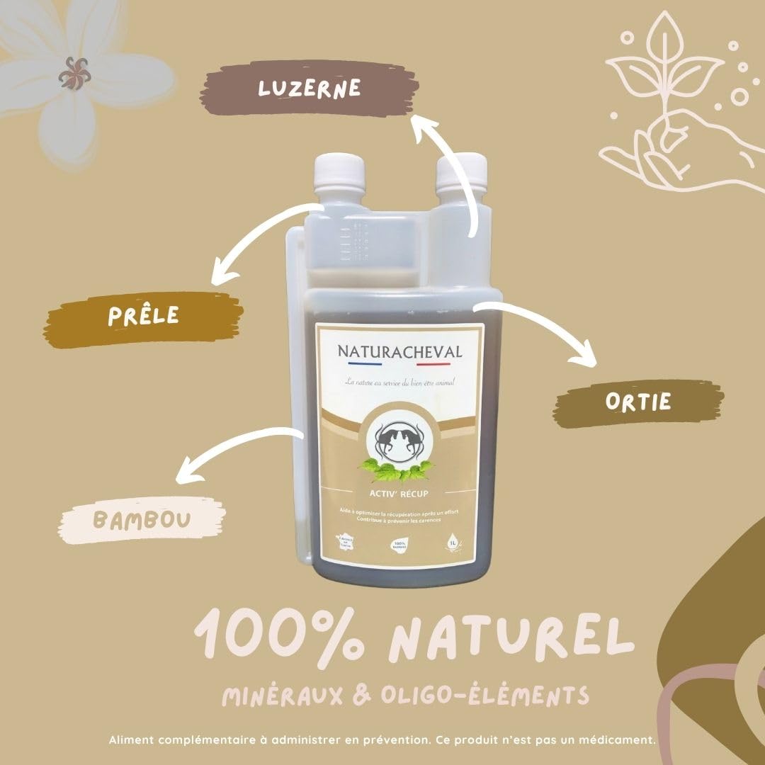 Complément récupération Cheval – Reminéralisant & électrolytes – Minéraux & Oligo-éléments – Après Effort & Chaleur
