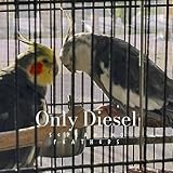 diesel only the brave street 200ml  Only Diesel