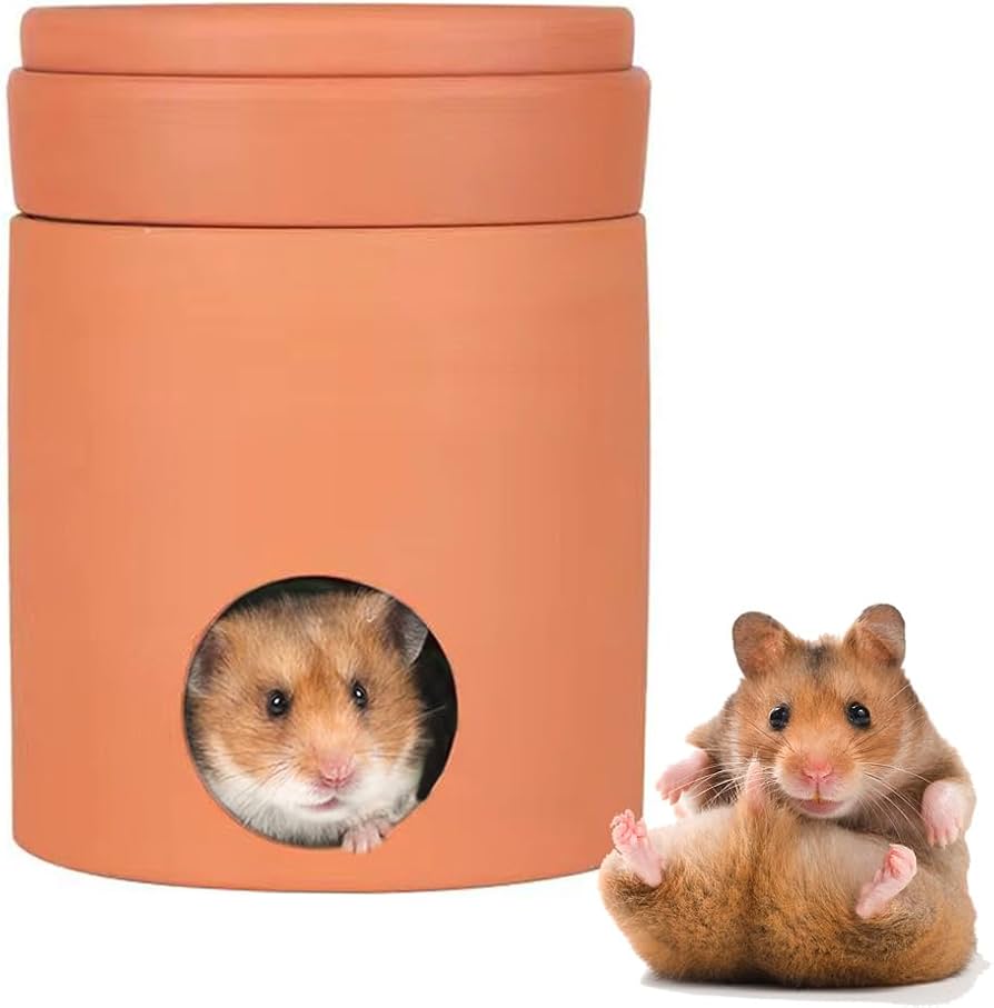 てん ハムスター　巣箱 Amazon.co.jp: ハムスターハウス 巣箱 ハムスター ハウス 素焼き 陶器