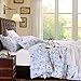 NTBAY 3 Pieces Duvet Cover Set Brushed Microfiber Floral Printed Pattern with Hidden Zipper, Queen, Light Blue