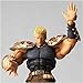 Revoltech Revolution: Raoh Figure
