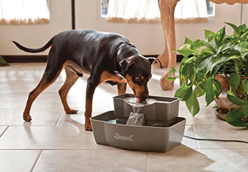 PetSafe Multi-Tier Pet Fountain 100oz – Accessible Two-Height Waterer for Senior Pets — view 2
