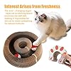 2-Pack Magic Organ Cat Scratching Board – Kitty Kurls Cat Scratcher Toy with Bell Balls for Indoor Cats, Interactive Cardboard Kitty Toy Scratcher, Furniture Protection #2