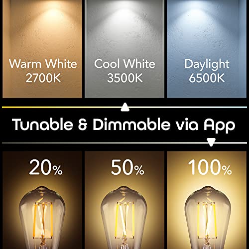 Image of Geeni Smart Light Bulb, Tunable White LED, Dimmable Wi-Fi, ST21, 4-Pack | ST21 shape, Alexa and Google Home compatible, programmable, app controlled