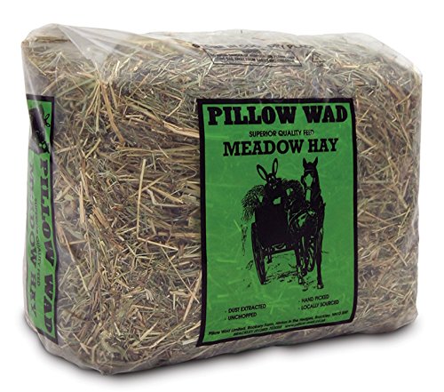 Pillow Wad Hay Mini 1kg (Pack of 6)