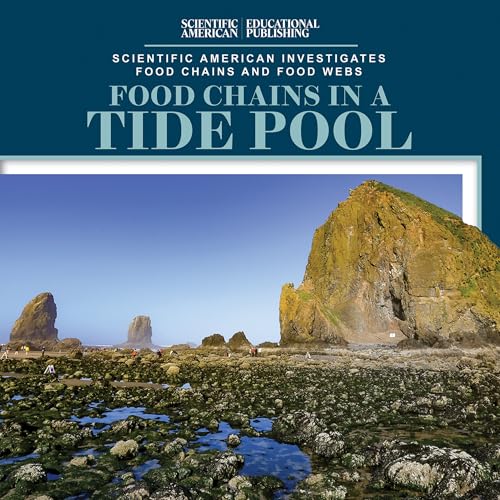 Food Chains in a Tide Pool