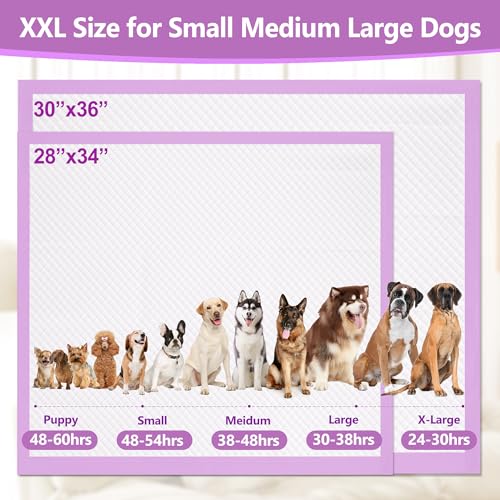 Image of Gimars XL 6-Layer Ultra Absorbent 1200ml 48-Hour Leak-Proof Dog Pee Pads, Quick Dry Extra Large Puppy Pads for Puppy Training, Senior & Incontinent Dogs, Cats, Overnight Use, 30 inchx36 inch, 30 Count