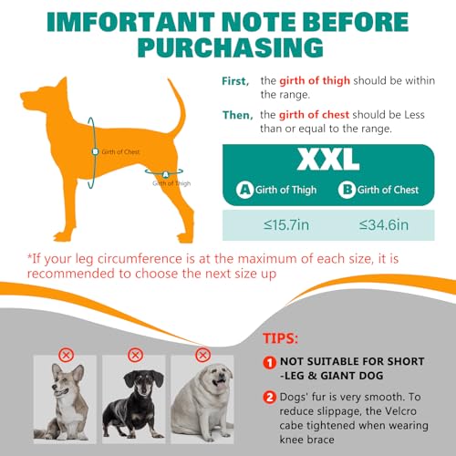 Image of Dog Knee Braces for Torn ACL Hind Leg, Adjustable Joint Brace Non-Slip | Double Leg Support with Vest,CCL Tear, Arthritis, Patella Luxating Recovery Cruciate Care for Small Medium Large Dog, XXL