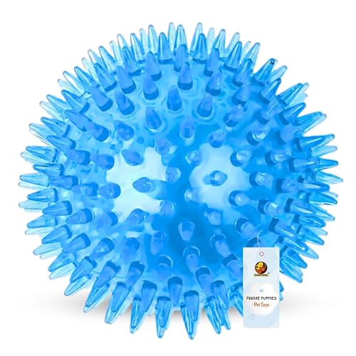 Foodie Puppies Pet Squeaky Durian Ball Dog Chew Toy for Puppies & Small Dogs | Durable, Interactive Toy with High Bounce and Sound, Non-Toxic, for Pla