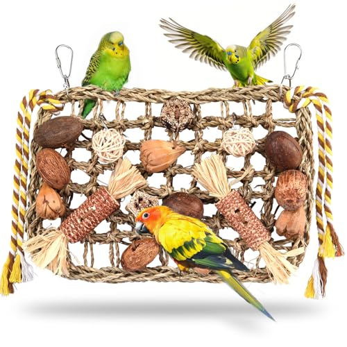 onebarleycorn Jouets pour Oiseaux, Jouet Perroquet, Jouet Perroquet Gris du Gabon Mural Suspendu Naturel Jeux pour