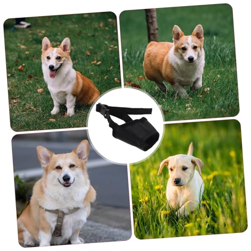 VICASKY ^p߉\ ̊ݕȖh~ ʋCǍD U̖ih~ƌی ` V[Y[ȂǒZ@Ή