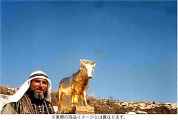 モーゼとアロン 歴史の授業 DVD ストローブ=ユイレ ストローブ＝ユイレ コレクション 歌劇 モーゼとアロン [DVD