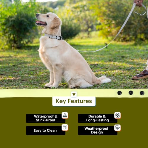 Image of Adil's Biothane Waterproof Dog Collar, Dog Leash & Collar Leash Combo | Heavy Duty TPU Coated Webbing | Adjustable Quick Release Buckle | Odour Resistant (Yellow, M-18, Leash Only)