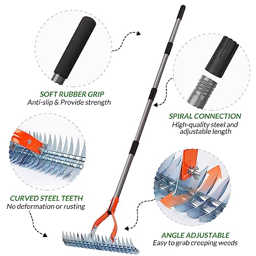 Image of Walensee 15-Inch Thatch Rake for Lawn, 19-Tine Dethatcher, 70-Inch Handle