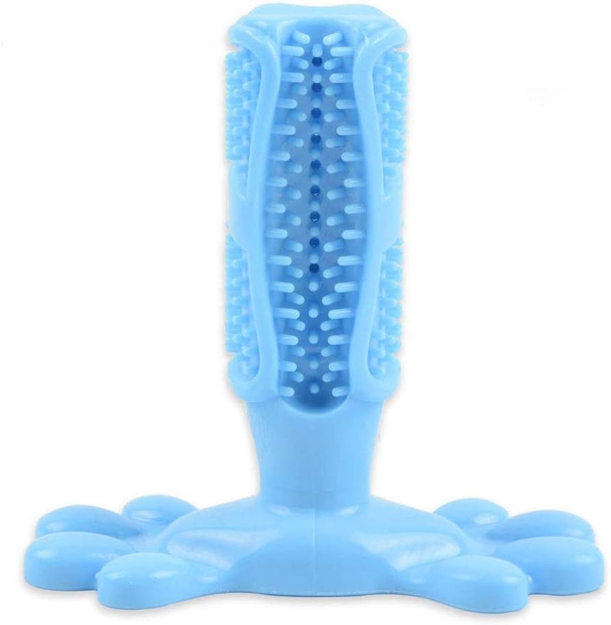 cassa per cani isolata