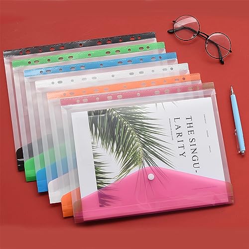 12 cartelle trasparenti perforate, cartelle per