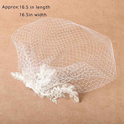 Heread 1920S Lace Bride Wedding Birdcage Veil White Flower Bridal Headpiece Accessories With Comb For Women And Girls #TOP1