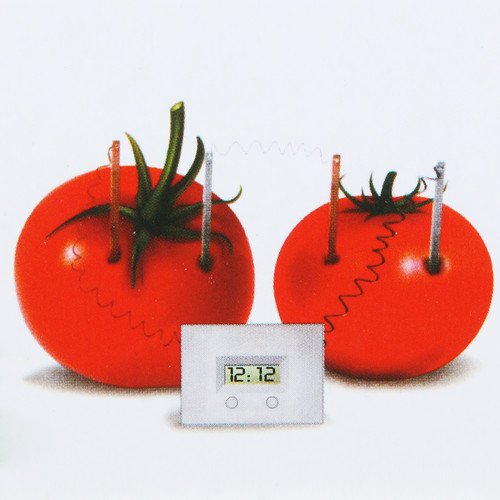 Diy Novel Green Science Project Experiment Potato Fruit Digital Clock Education #TOP2