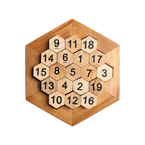 HuoBi Wooden Digital Platter Puzzle, 20 Pieces Brain Teaser Toy for Kids and Adults, Recommended Age 6+ Years
