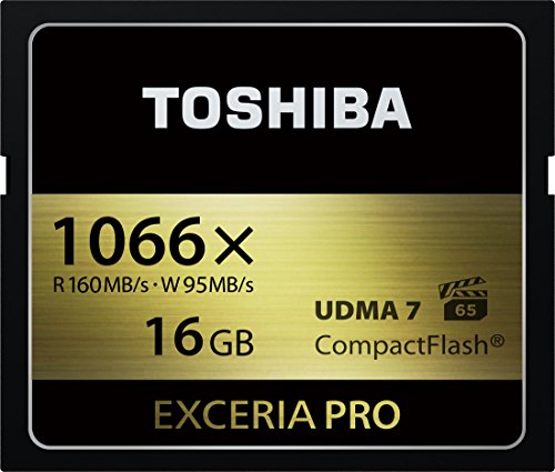 TOSHIBA COMPACT-FLASH EXCERIA PRO 1066 X SPEED (MAXIMUM ?  SPEED MB S) ( ǰ) CF - EX0 V