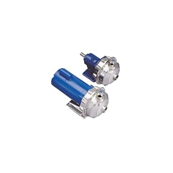Goulds 1ST1E1C4 Centrifugal Pump