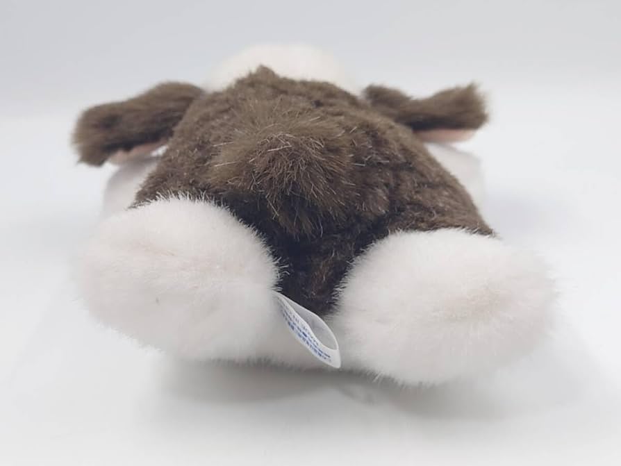 Amazon.co.jp: ナカジマ NAKAJIMA ぬいぐるみ 仔犬のドン 2匹まとめて Amazon.co.jp: ナカジマ NAKAJIMA ぬいぐるみ 仔犬のドン 2匹まとめて