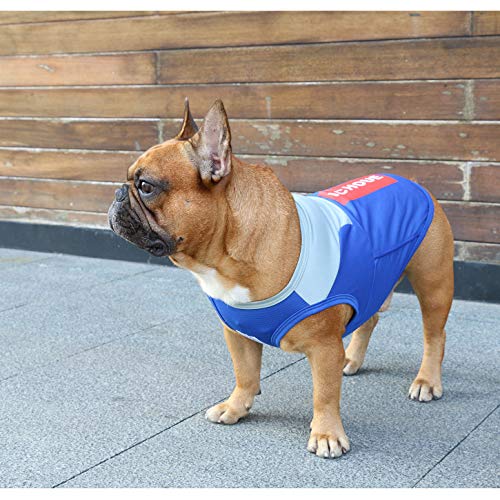 Ichoue Quick Dry Shirts For Dogs, Cooling Shirt, Sleeveless Stretchy Tank Top Vest Clothes French Bulldog English Pug Grey Blue - Large #TOP5