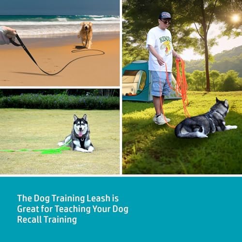 Waterproof Long Dog Leash, Heavy Duty Biothane Dog Training Leash 6ft 10ft 15ft 30ft 50ft, Easy to Clean Long Line Lead for Large Medium Small Dogs, Outdoor Recall (Lake Blue, 6FT) - 4