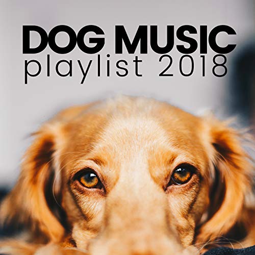 Dog Music Playlist 2018 Calming Music for Dogs by Dog Teeth on Amazon