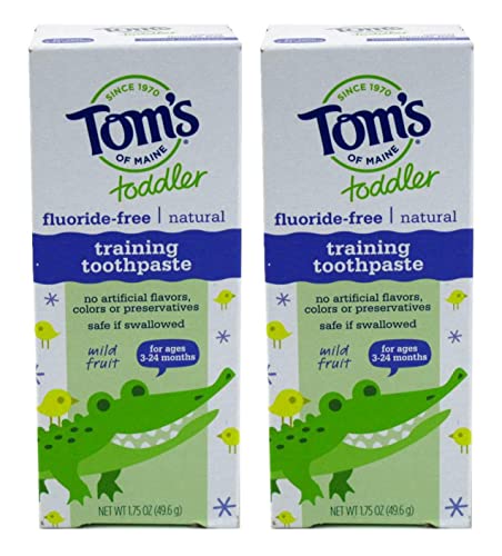 Tom's of Maine Flouride Free Children's Toothpaste, Mild Fruit Flavor - 1.75 oz - 2 pk