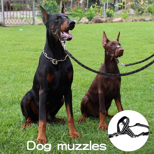 HhBdy Halti für Große Hunde, Hundehalfter Verstellbar Maulschlaufe Hund mit Gepolstertem Stoff, Anti Zieh Geschirr für Hunde Schwarz für Tägliche Spaziergänge Fellpflege und Krallenschneiden (L)