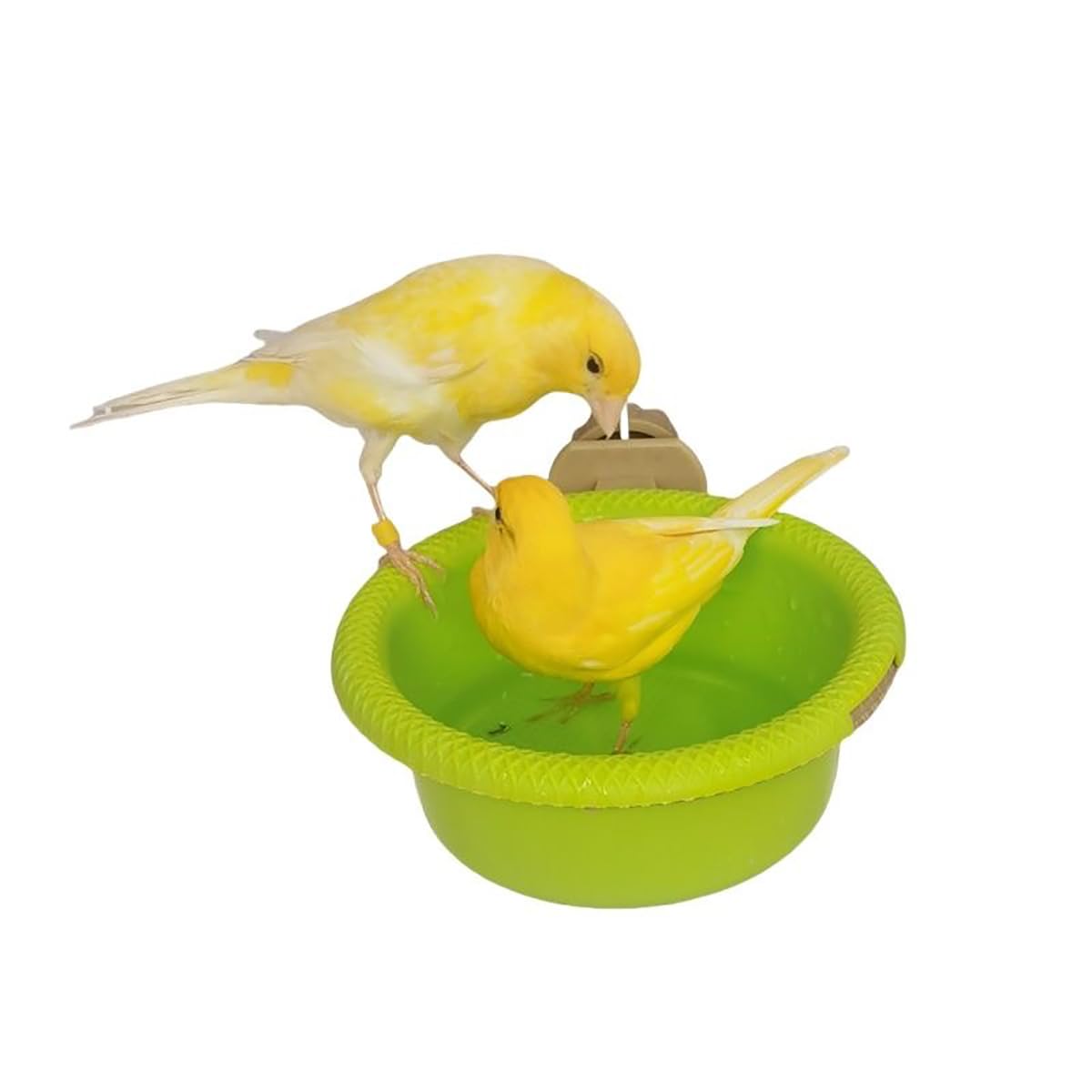 Gobabo Bird Bath for Cage Small Bird Bath Bowl Bird Perch Stand Parrot Bird Bathing Tub for Canary Finch Budgerigar Budgies