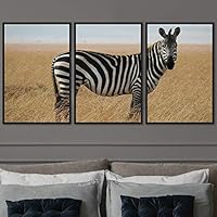 3 Piece Framed Canvas Wall Art Black and White Animals Canvas Prints Home Artwork Decoration for Living Room,Bedroom - 16