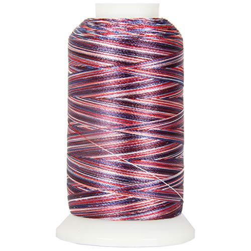 Threadart Variegated Polyester Embroidery Thread - 40Wt - 1000M - 25 Colors Available - No. 2 - Patriotic #TOP9