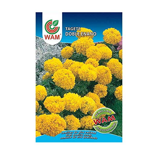 WAM Semillas de Tagete Doble Enano, Sobre Clásico 1 gr Cover
