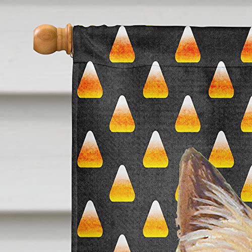 Drapeau Cairn Terrier en toile résistante aux intempéries pour décoration extérieure