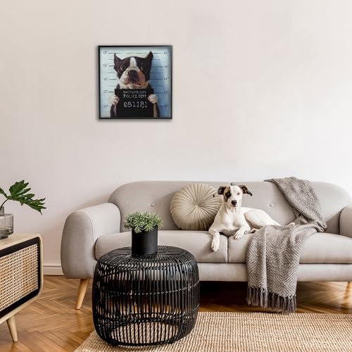 Image of Stupell Industries Funny Boston Terrier Dog Jail Convicted Police, Design by Lucia Heffernan,Blue | Stupell Industries . By Lucia Heffernan . Ready to hang once unboxed . Great gift for dog lovers . Made in USA