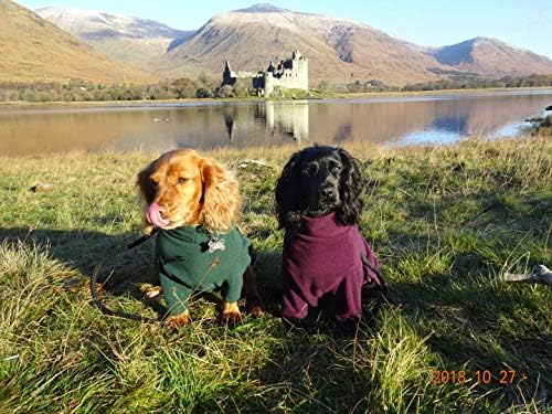 Hotterdog Fleece Jumper (from Equafleece)Small black