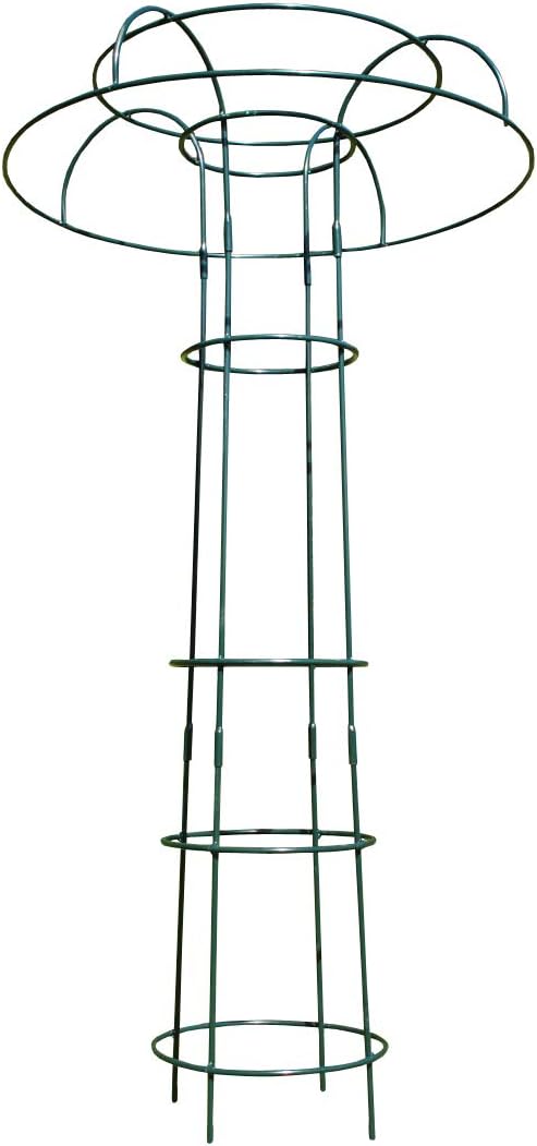 Selections Metal Tuteur Garden Plant Support (120cm) for Climbing Plants