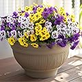 Rowfad Artificial Fake Pansy Flowers for Outdoor, 36 Bundles Faux Silk Pansies Spring Flowers for Outside for Planter Front Door Porch Yard Patio Window Box Home Decor (36, Purple, Yellow, White)