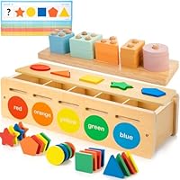 JUSTWOOD 2 in 1 Montessori Toys for 1 2 3 Years Old,Color & Shape Sorting Matching Toy for 1 Year Old Boys and Girls Wooden Sorting and Stacking Toys for Toddlers 1-3,Educational Toys for 2+ Year Old