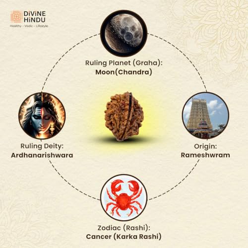 Image of Divine Hindu Original 2 Mukhi Rudraksha (Lab Certified) - Natural Two Face Nepal Bead for Harmony, Relationships Balance - Ardhanarishwara Blessing - Moon (Chandra) Remedy - Brown Bead for Men & Women