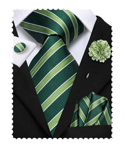 Image of Hi-Tie Mens Paisley Floral Striped Ties Set Silk Necktie and Lapel Pin for Men Pocket Square Cufflinks Set Business Wedding